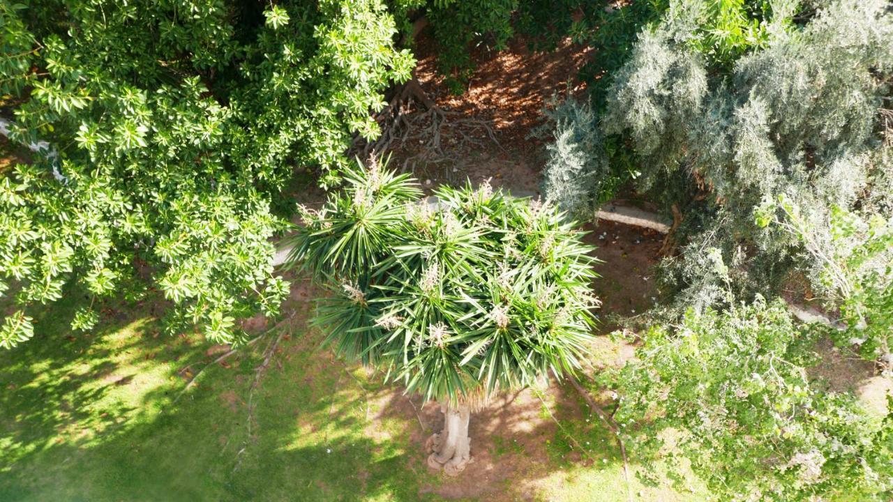 Malagadevacaciones - Thiele Appartement