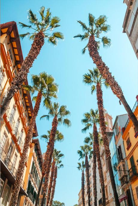 Apartment Duplex Chillout Centro Historico Malaga