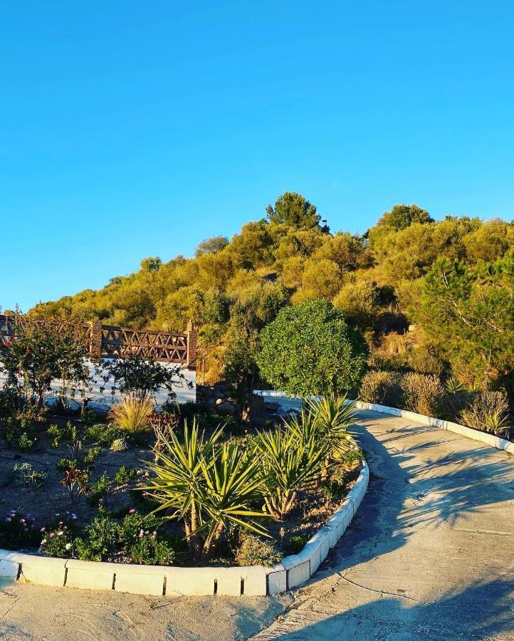 Azafran * Málaga