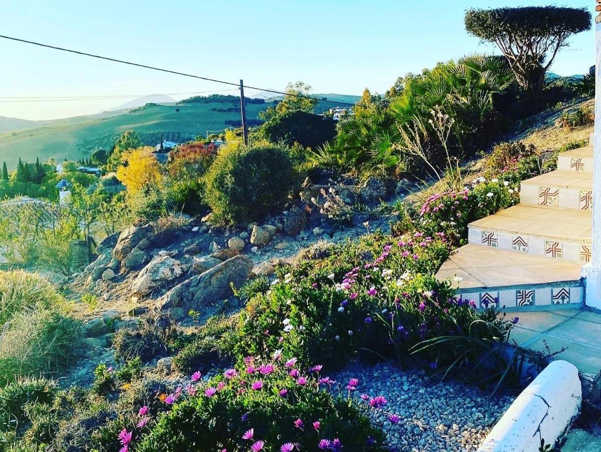 Azafran Villa Málaga