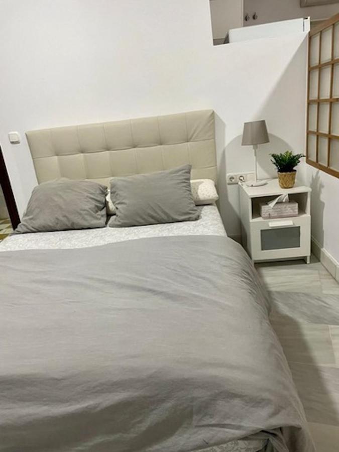 Holidays2malaga Jinetes Junto Casco Histórico&parking Apartamento