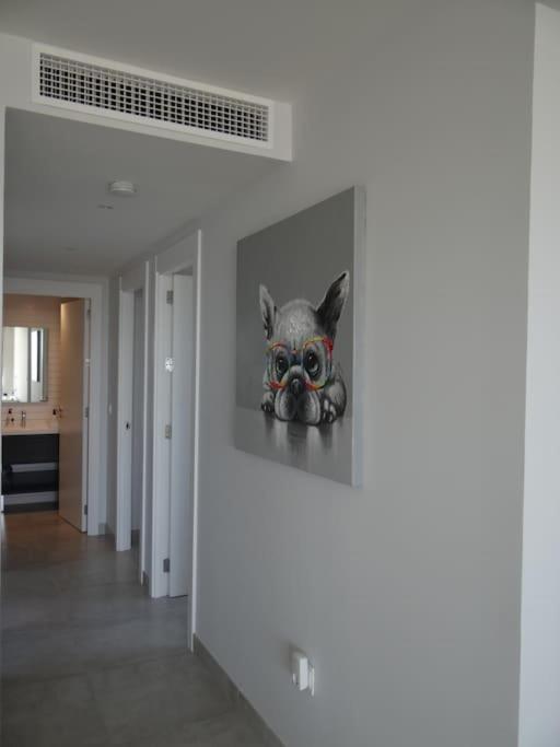 Beautiful 3 Bedroom La Cala De Mijas Apartment Malaga