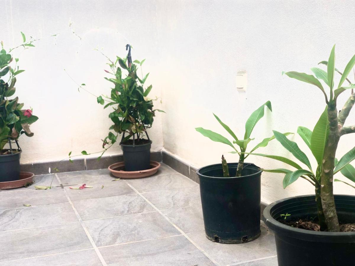 Apartment Varela B