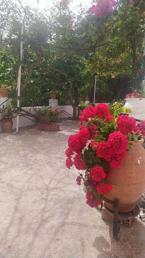 Ferienhaus El Castillo *