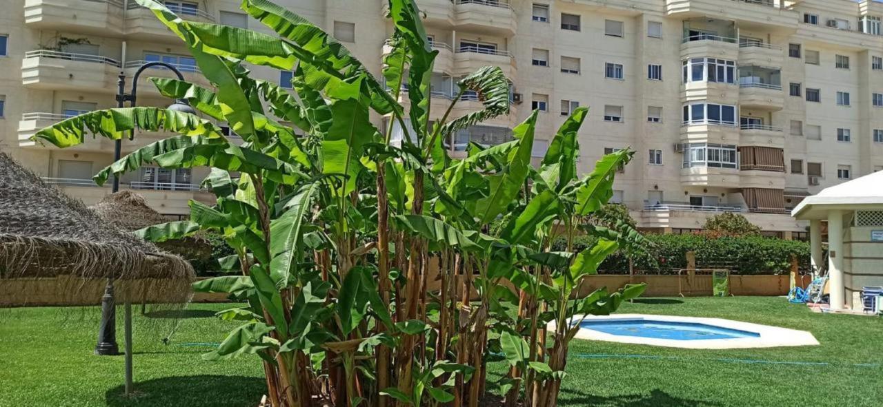 Holidays2Malaga Paseo Maritimo Antonio Banderas Sea View & Terrace * Malaga