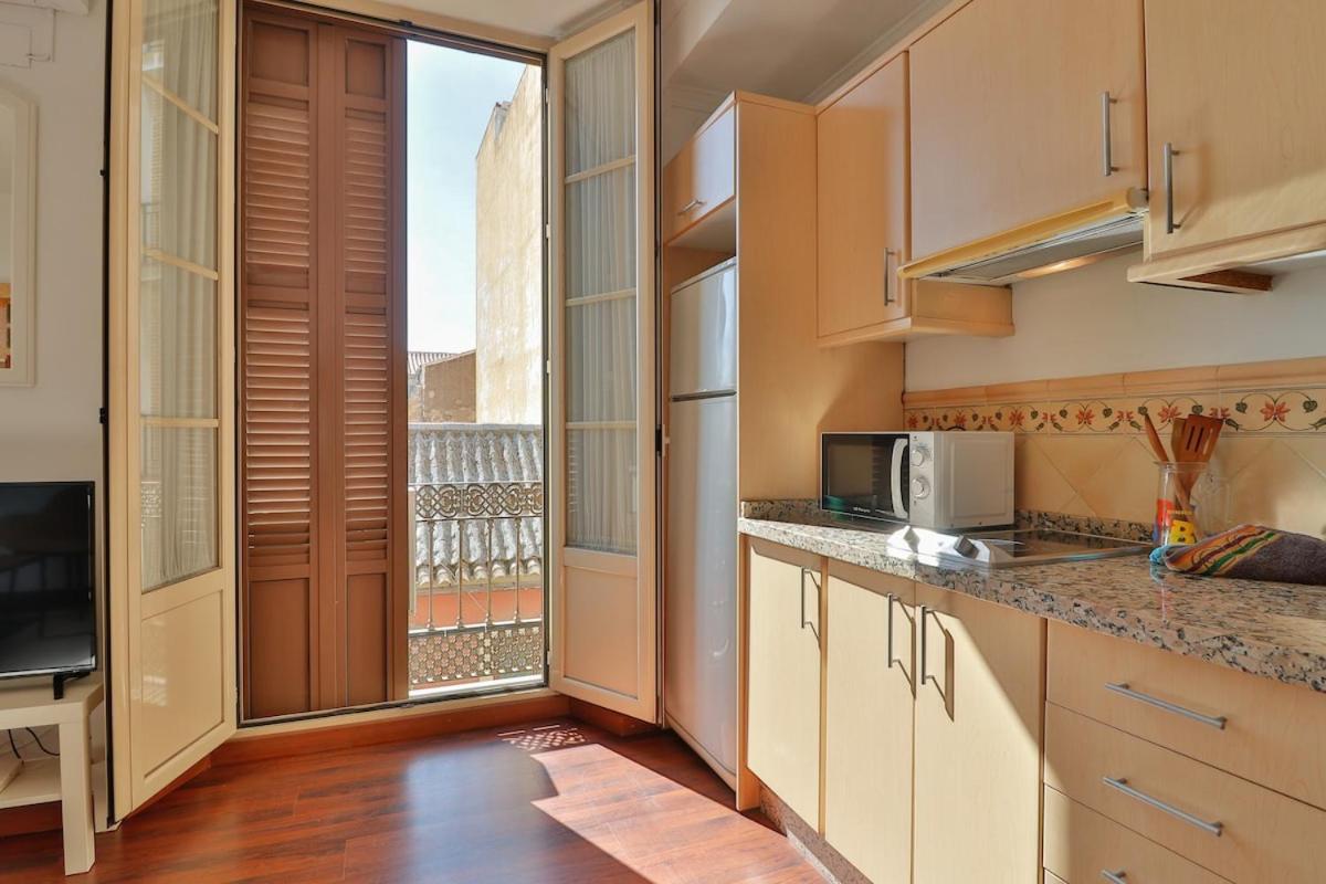 Apartment C61 - Brand New One Bedroom Cathedral Views Malaga
