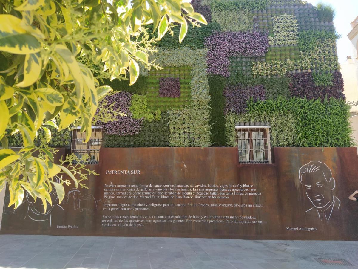 Acogedor Y Moderno Estudio En Capuchinos * Malaga