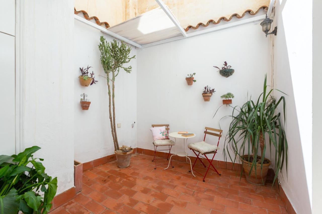 Apartment With Two Bedrooms And A Patio