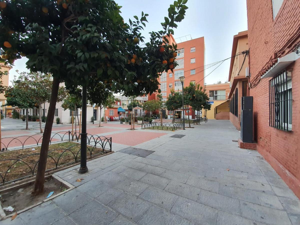 Solis Mare - Palo Málaga