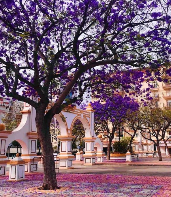 Higueronrentals Bahia Apartment Malaga