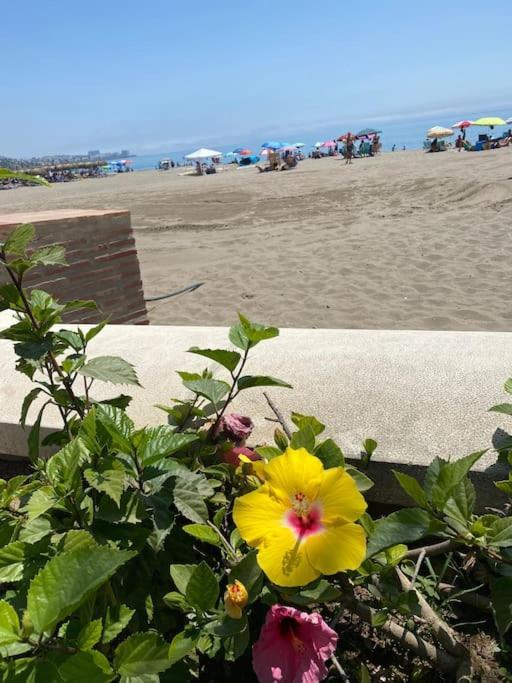 Higueronrentals Bahia Apartment Malaga