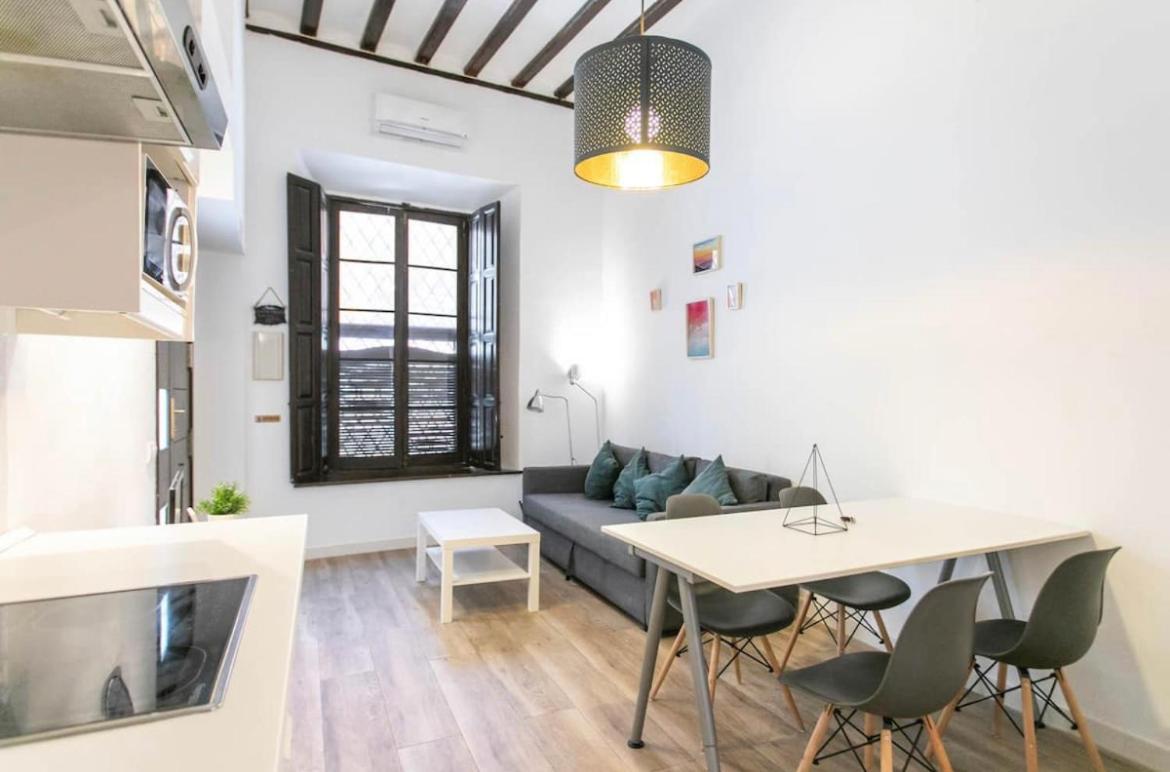 Postigo Bajo Apartment Malaga
