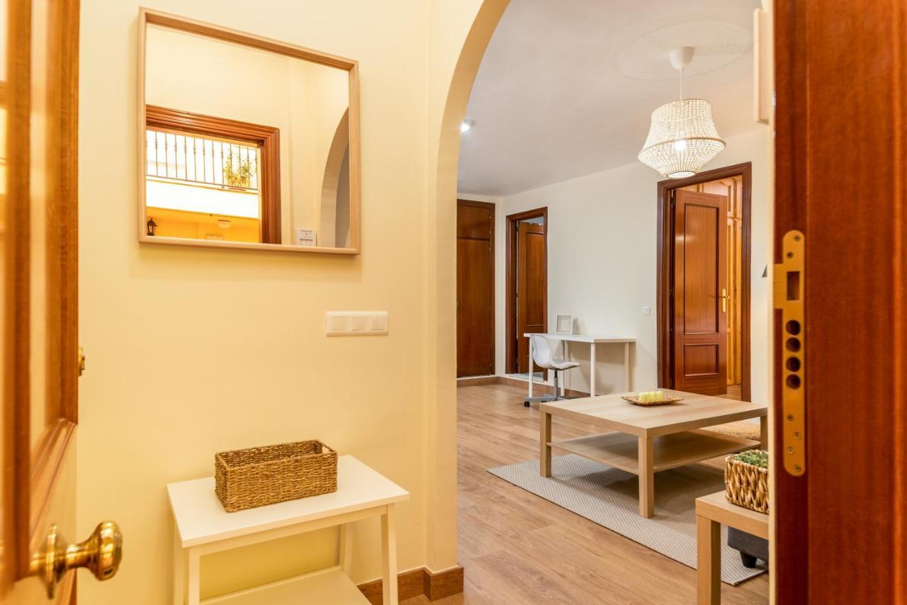 Holidays2malaga Feijoo Local Close To City Center In A Quiet Area. Apartment Malaga