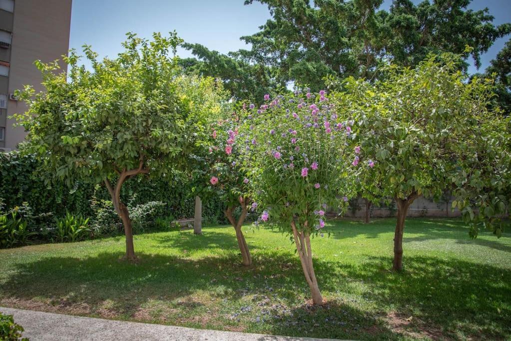 Piso Con Jardin Malaga
