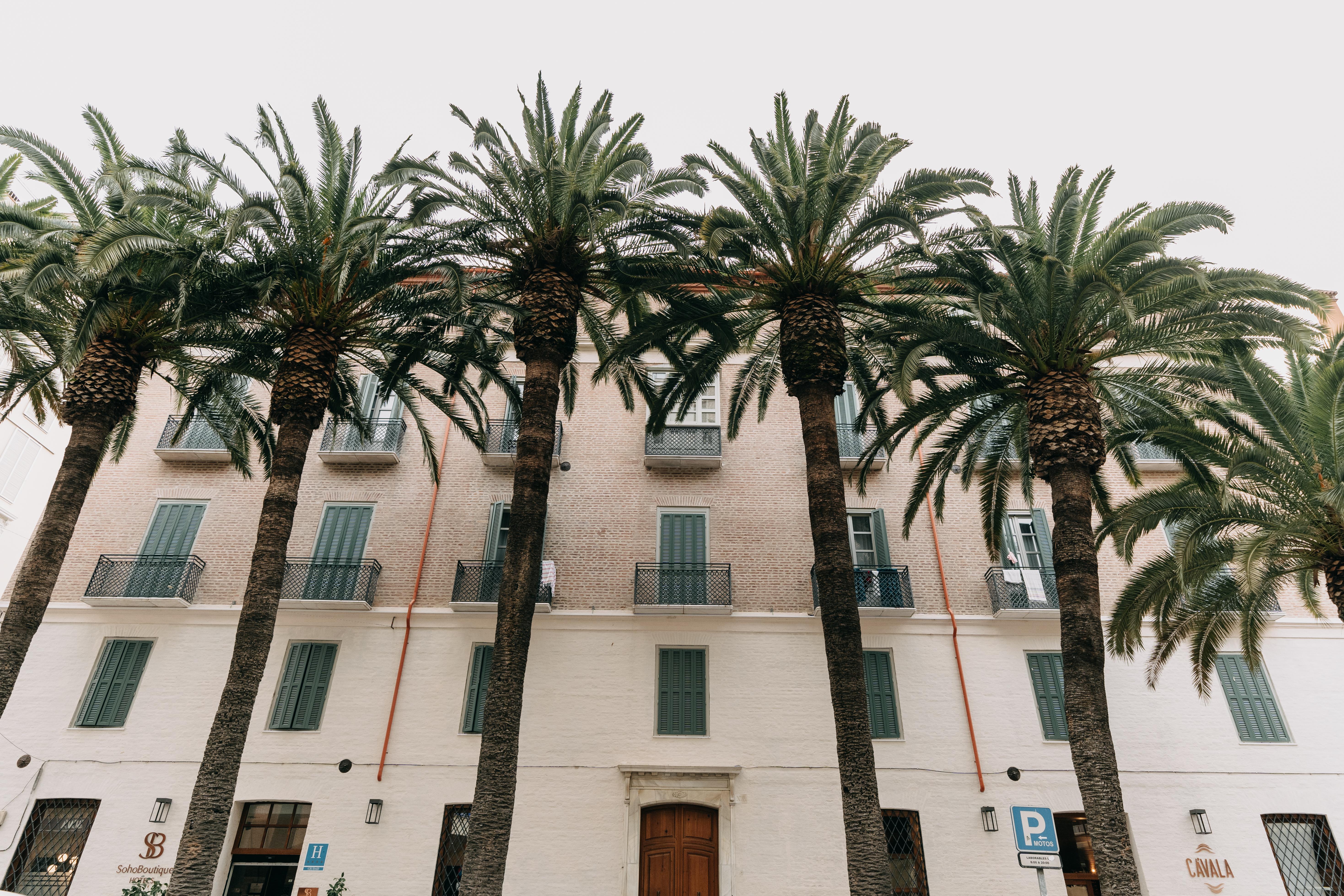 Hotel Soho Boutique Colon Malaga