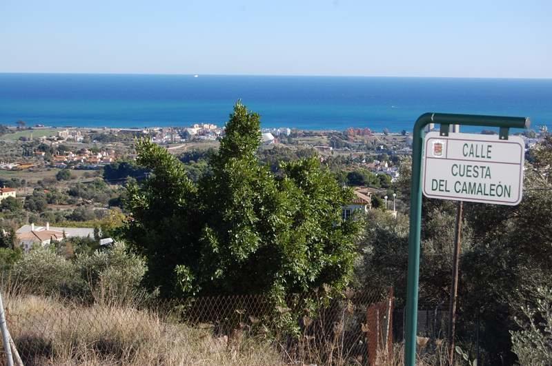 Carpe Diem De * Malaga