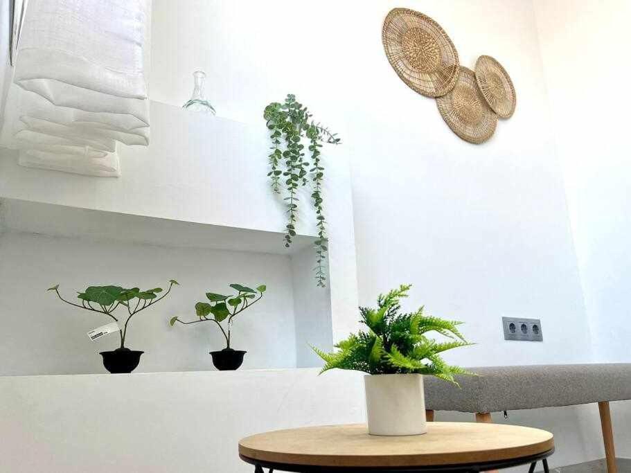 Nuevo Centro Histórico De Apartamento *
