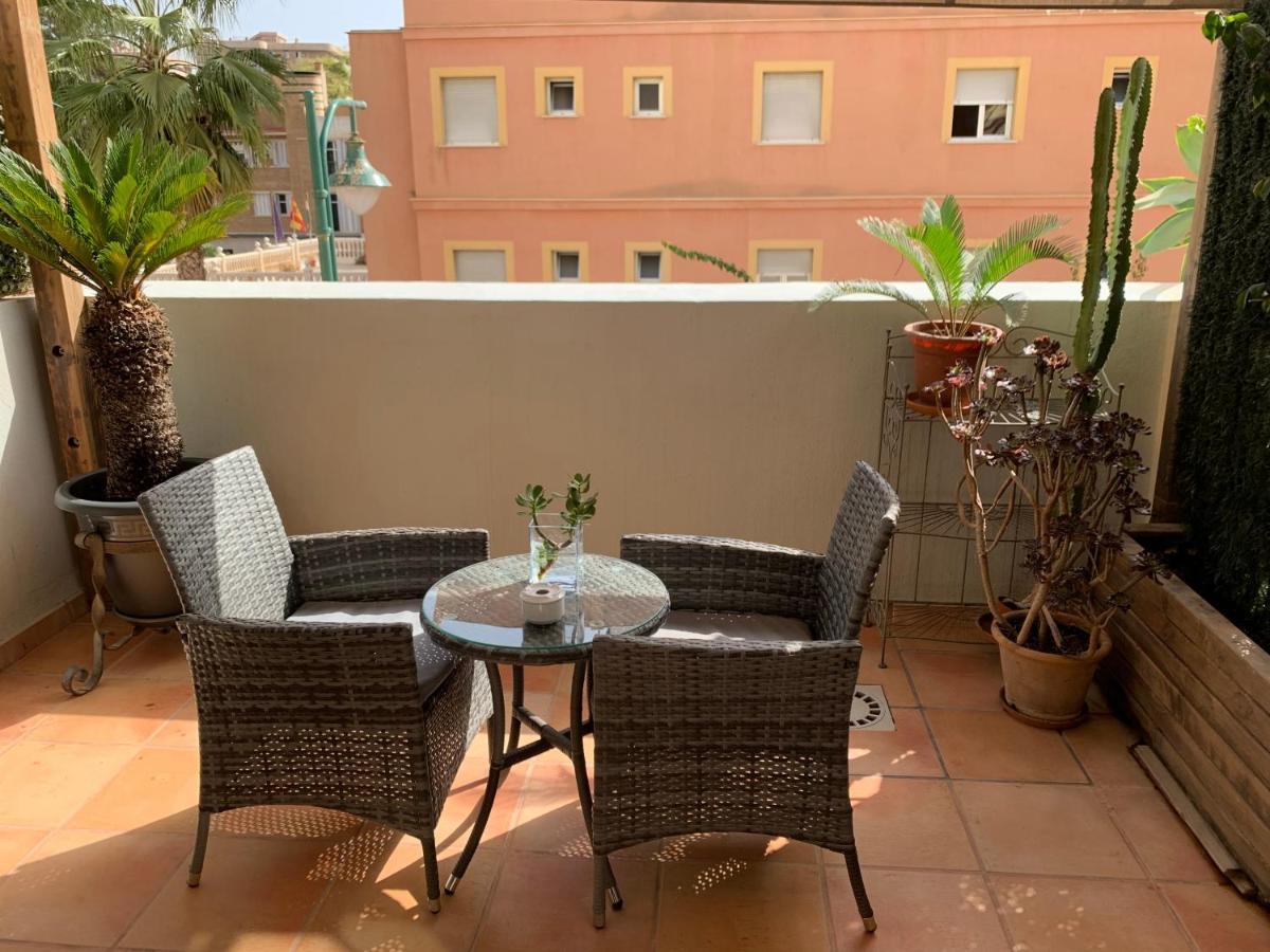 Kentia Malaga