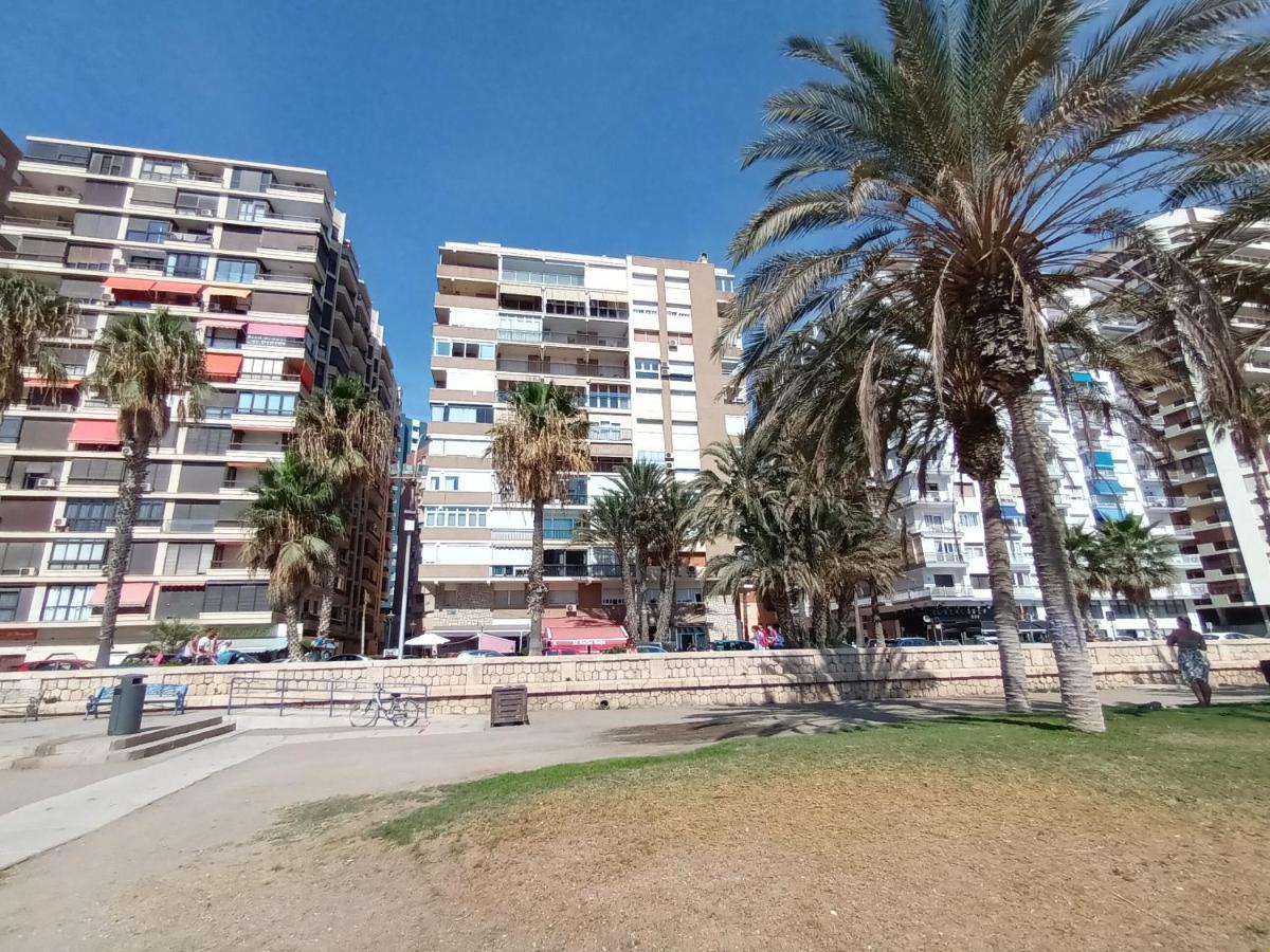 New Maritimo