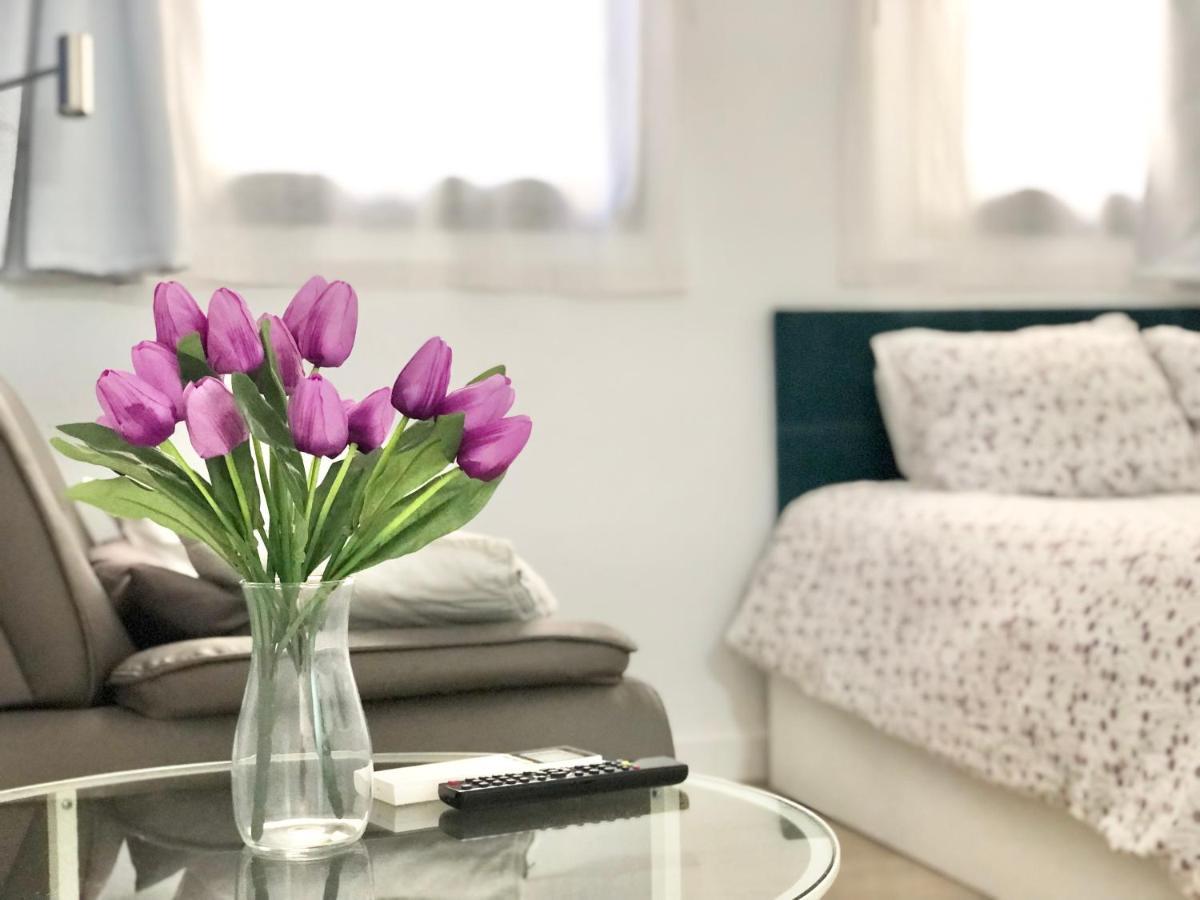 Apartment Centro Picacho *