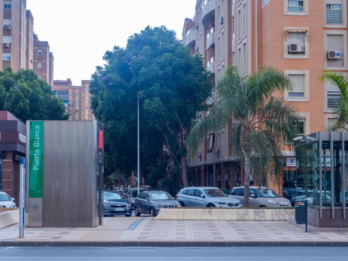 Cubo's Urban Turisbelen Malaga