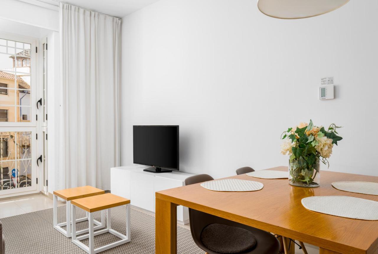 Aparthotel Del Pintor Malaga