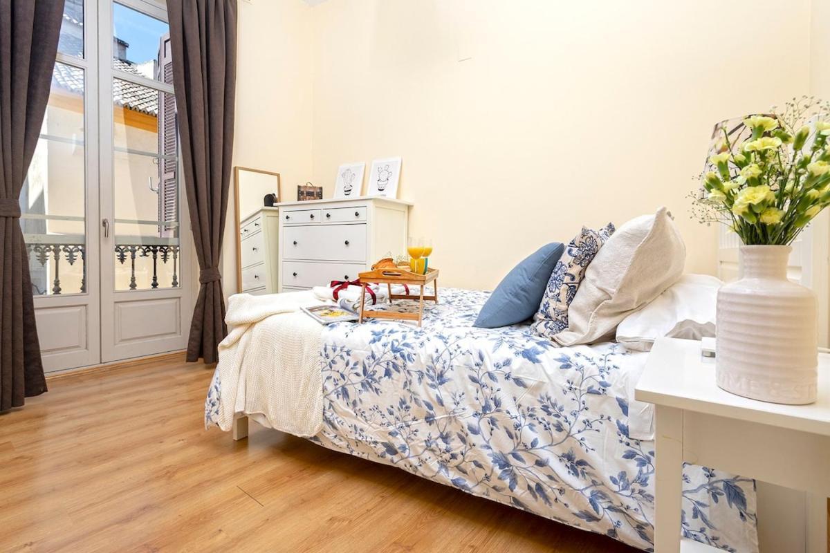 Apartment -malagasunapts- Historic Heart Of Aa Wifi