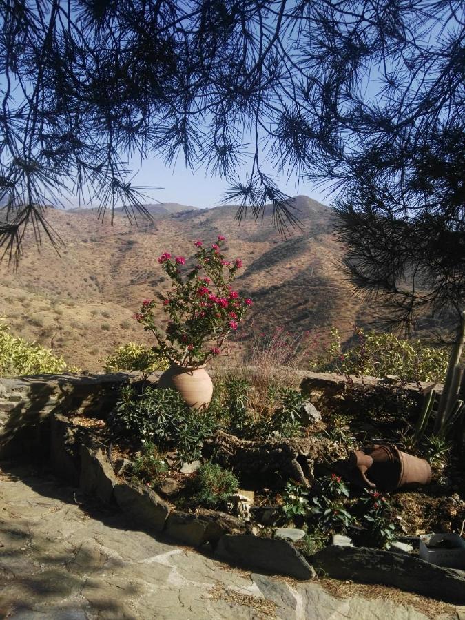 Pinar El Almendra Holiday home