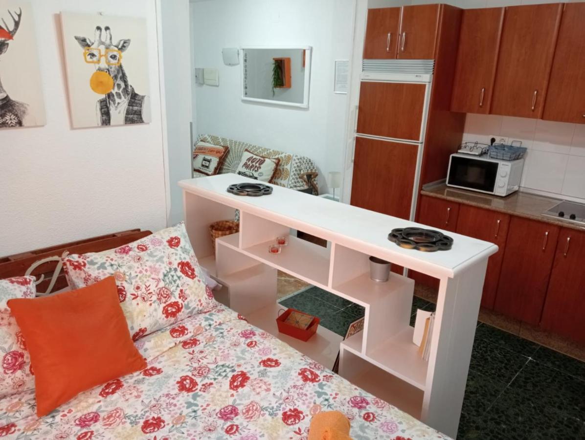 Apartamento Con Encanto 'larios Studio' Apartamento