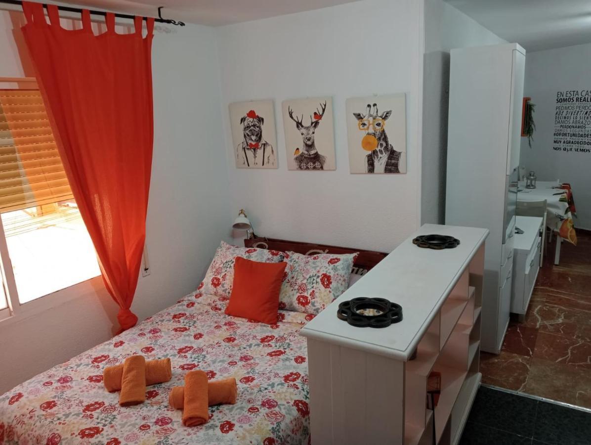 Apartamento Con Encanto 'larios Studio' *