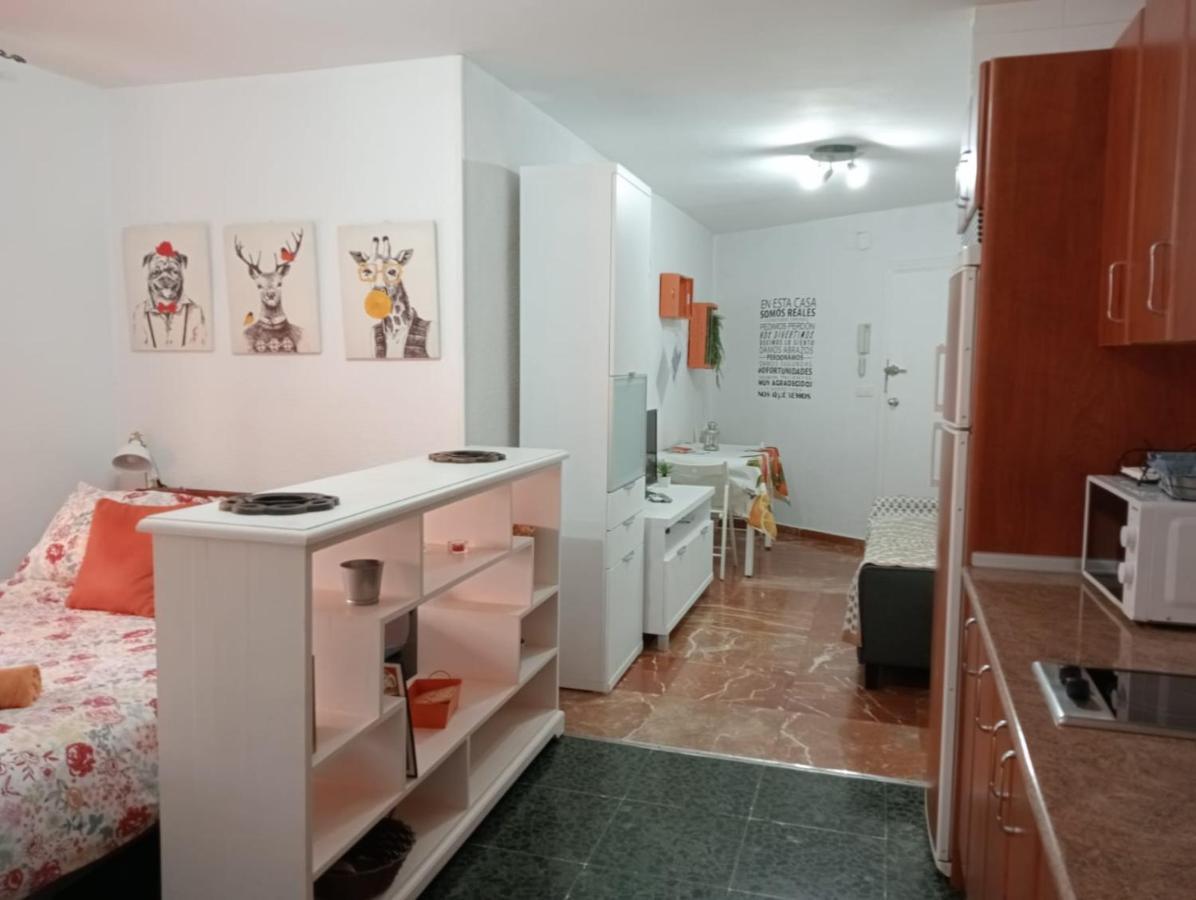 Apartamento Apartamento Con Encanto 'larios Studio'
