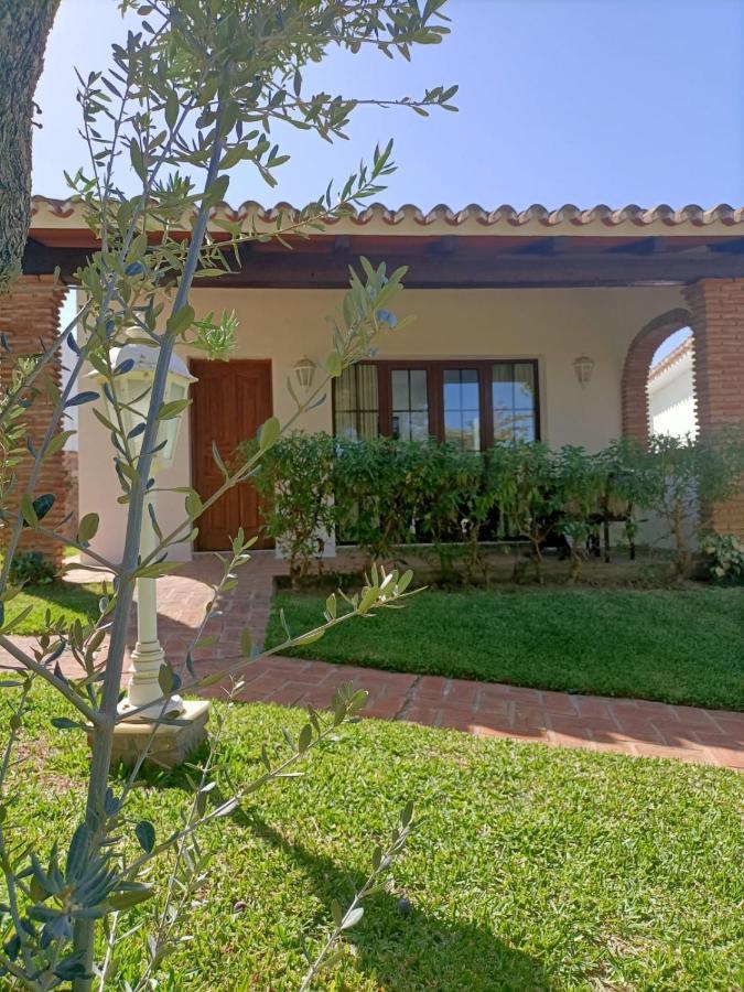 Tottam Art & Healthy Garden Lodge Malaga
