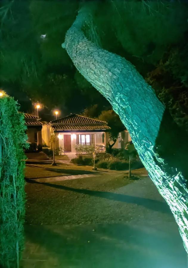 Lodge Tottam Art & Healthy Garden *