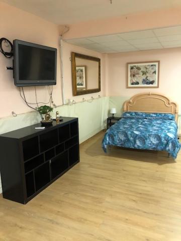 Ideal Loft Malaga