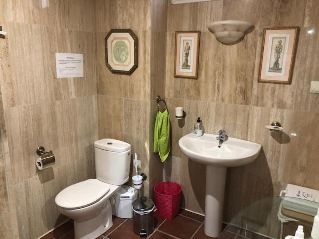 Ideal Loft Apartment Malaga