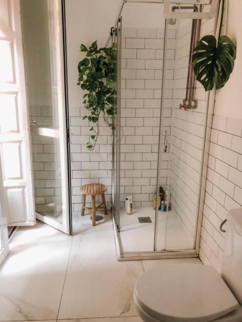 The Urban Jungle Hostel