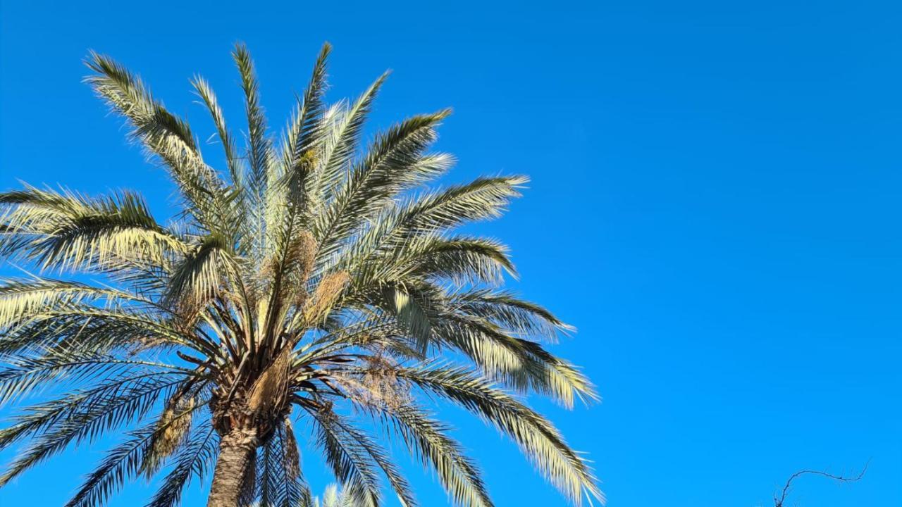 Ellies Hus Málaga