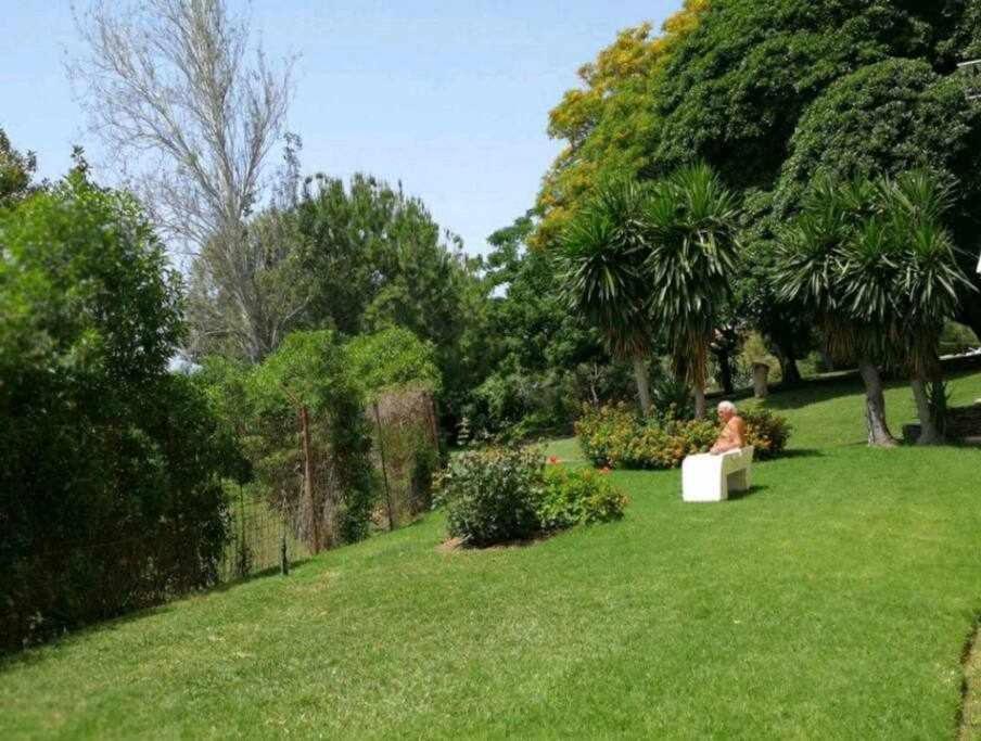 Apartment Golden Aguila 215 *