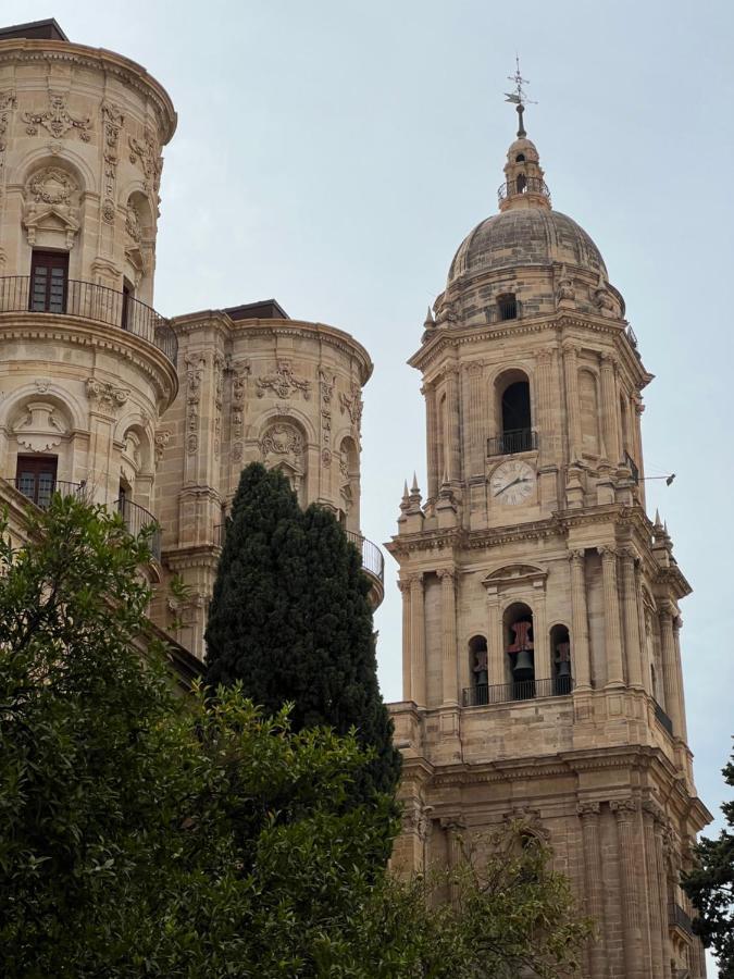 Premium Cister Cathedral