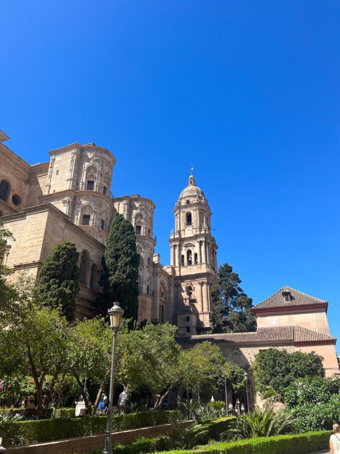 Premium Cister Cathedral *