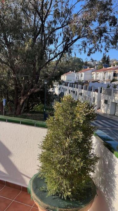 El Nido Del Ama Málaga