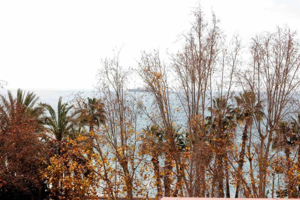 Casa Malaguena A Pie De Playa * Malaga