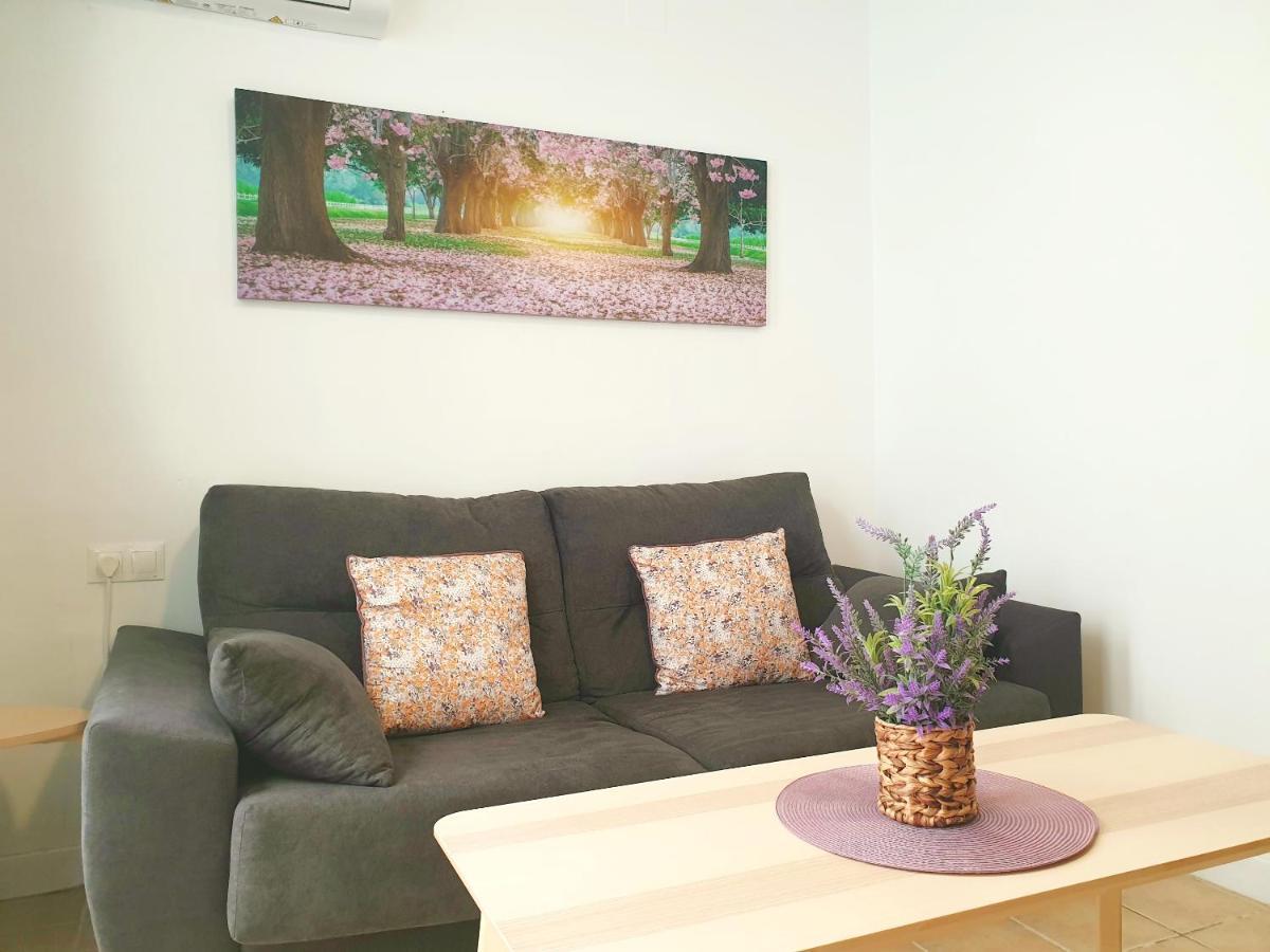 Economical Homes In Center Malaga