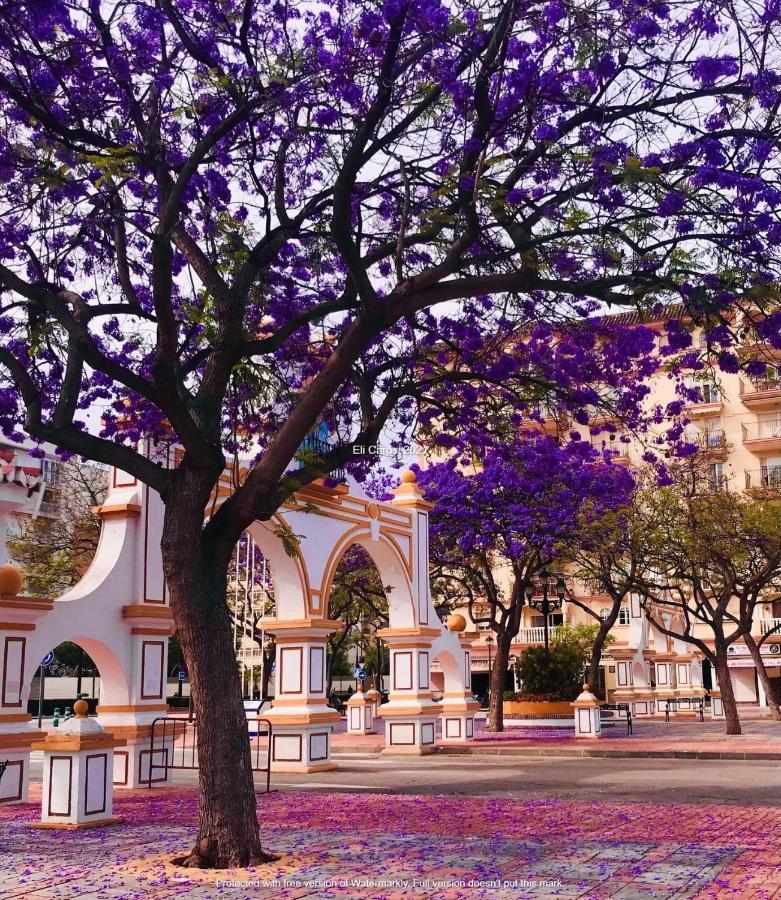Apartment Higueronrentals Casa Flora Malaga