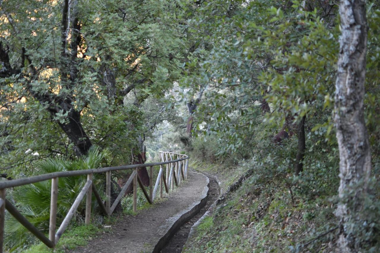 Tottam Art & Healthy Garden Lodge Malaga