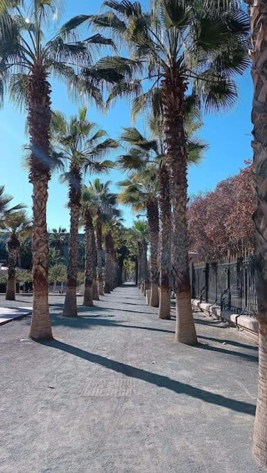 Casa Afrodita 1 * Malaga