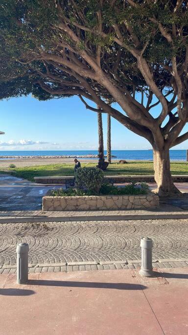 Beachfront House Holiday home Malaga