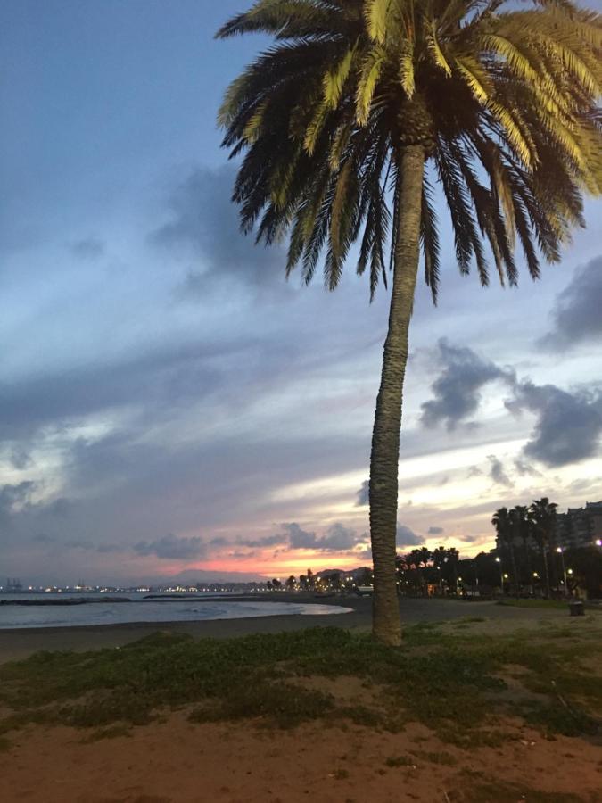 La Biznaga De El Palo Málaga