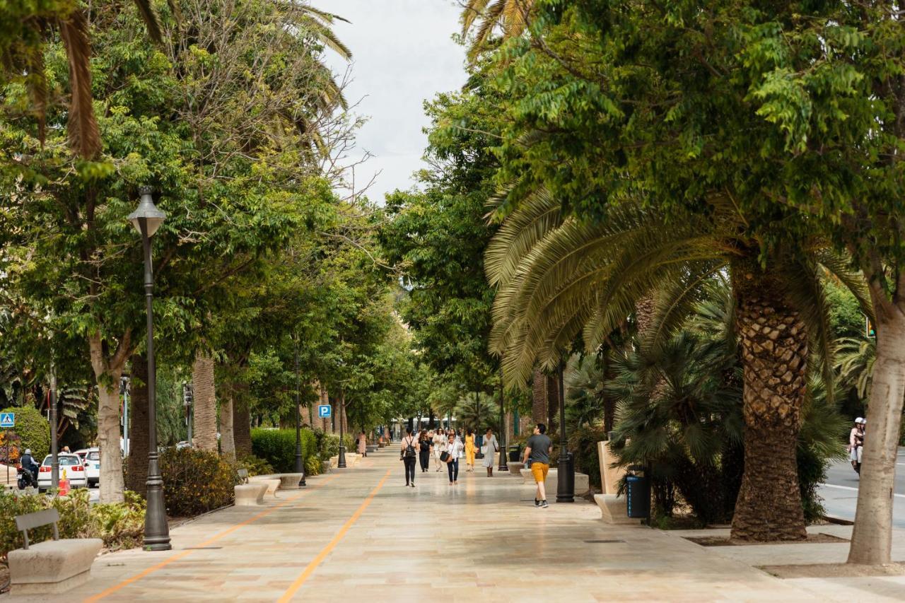 In The Historic Center Of Malaga, Very Close To The And The Ave Train Station, With Private Parking Apartment *
