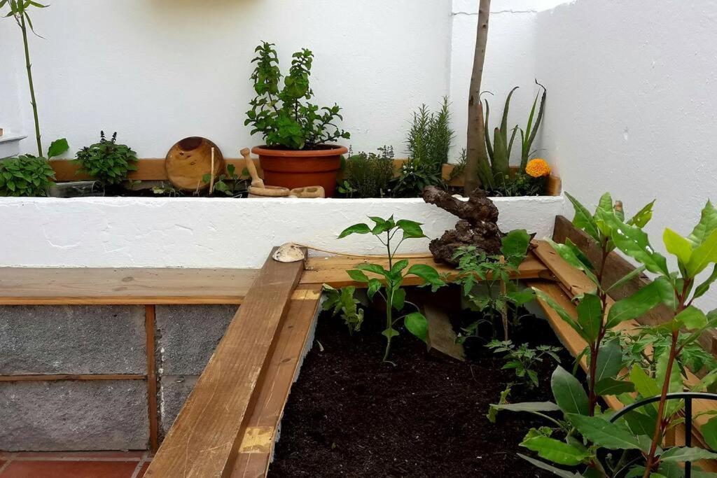 Penthouse Terrace Apartamento Málaga